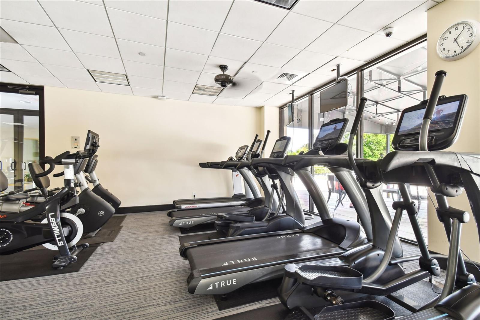 3301 BAYSHORE BLVD #1409A, TAMPA, FL, 33629