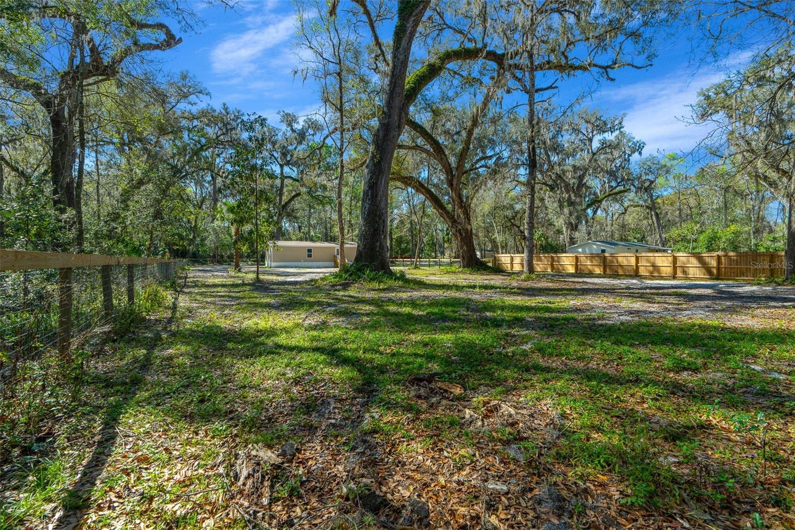 4195 NE 140TH PL, ANTHONY, FL, 32617
