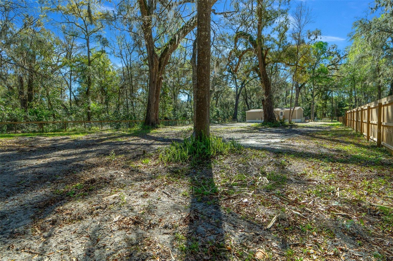 4195 NE 140TH PL, ANTHONY, FL, 32617
