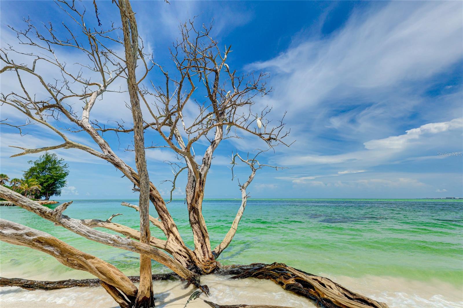 11 SANDY COVE RD #8-F, SARASOTA, FL, 34242