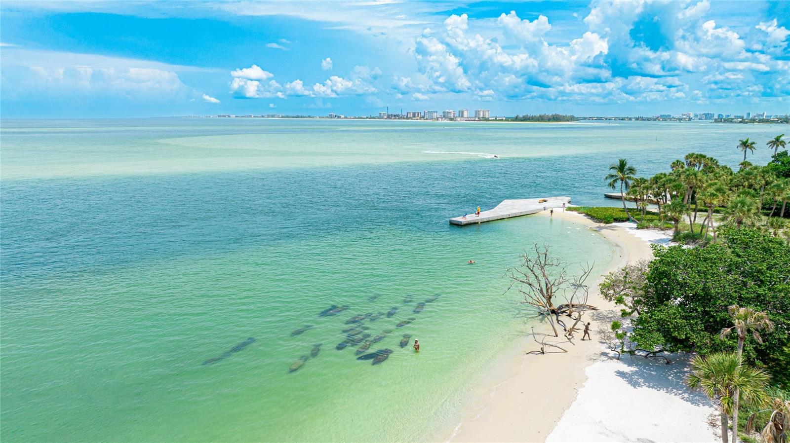 11 SANDY COVE RD #8-F, SARASOTA, FL, 34242
