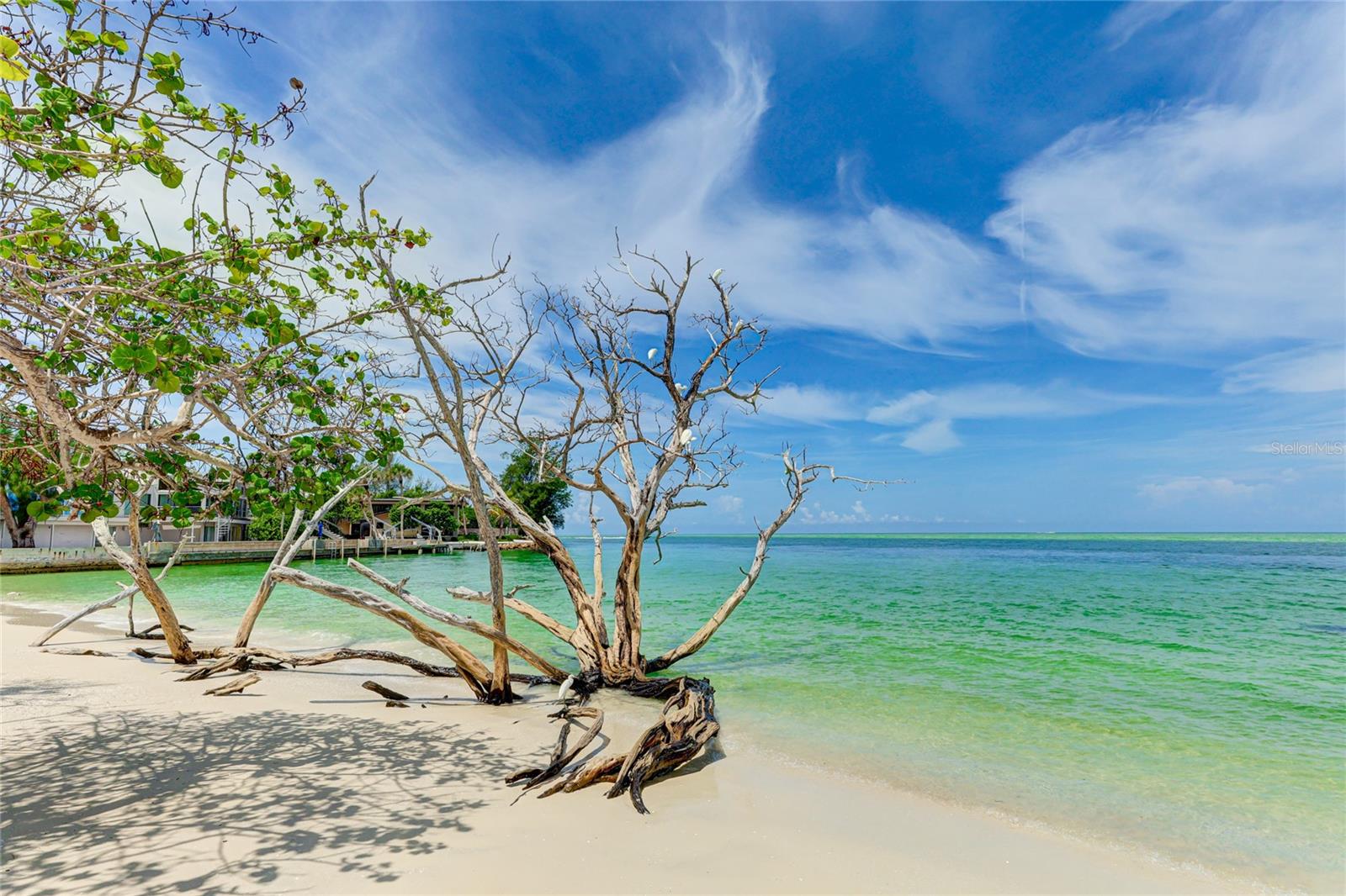 11 SANDY COVE RD #8-F, SARASOTA, FL, 34242