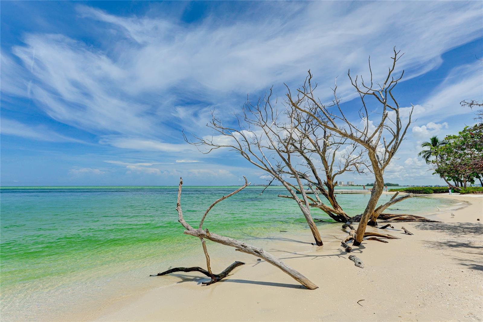 11 SANDY COVE RD #8-F, SARASOTA, FL, 34242