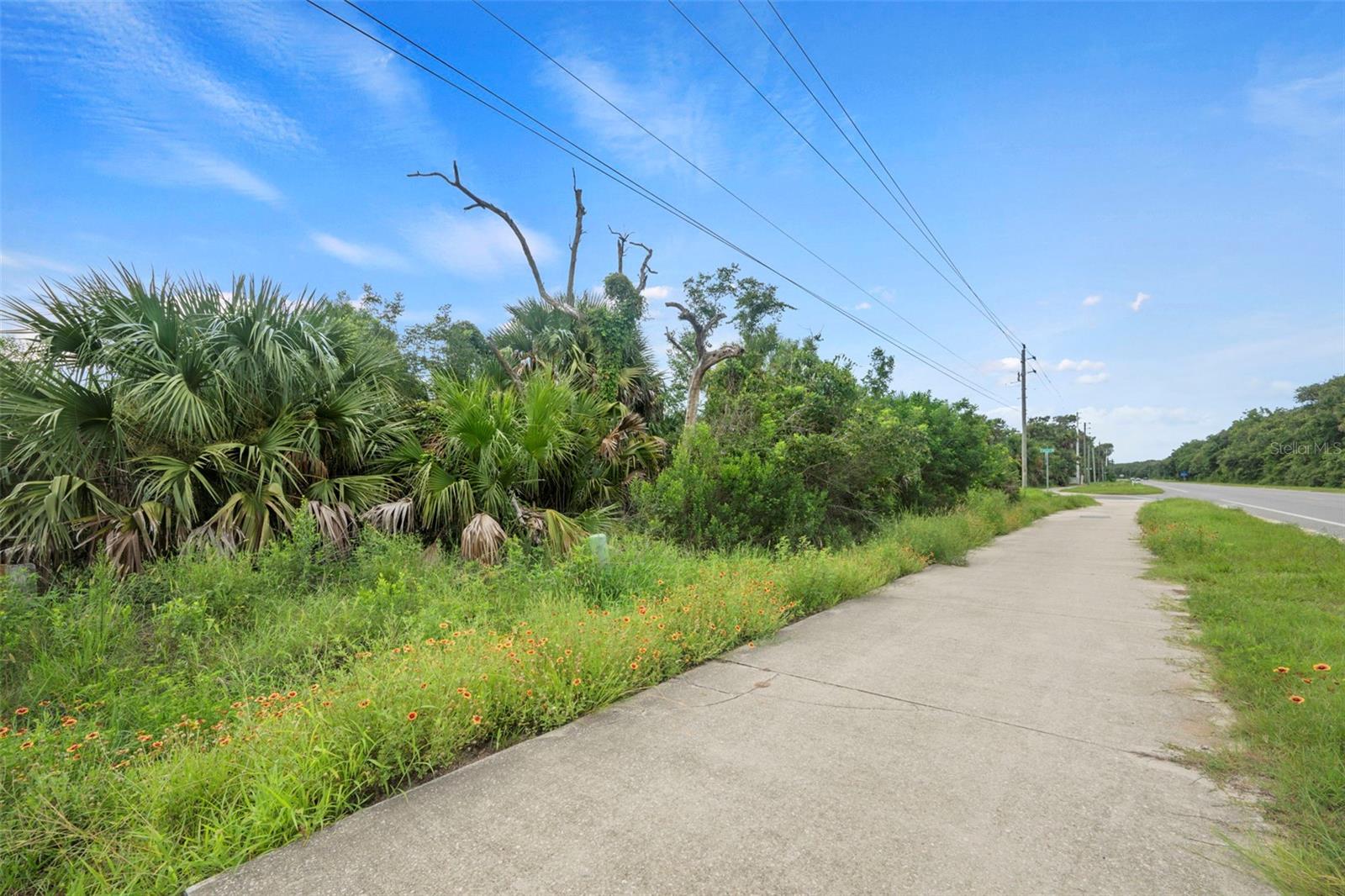 6247 N OCEAN SHORE BLVD, PALM COAST, FL, 32137
