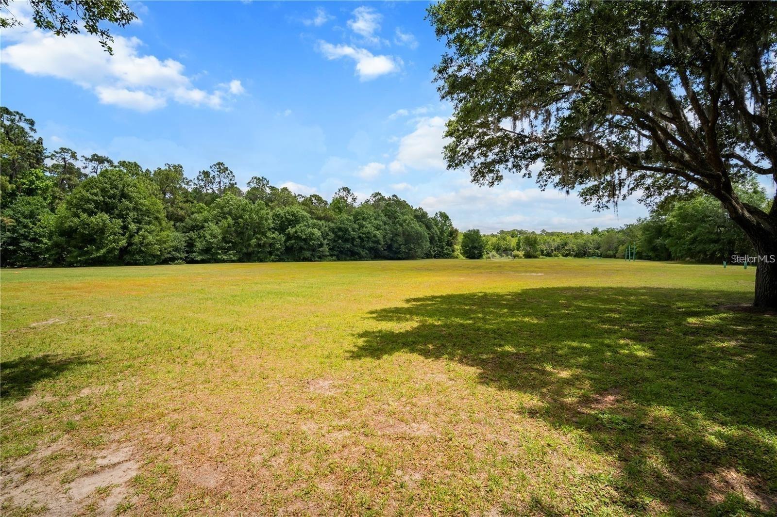 3904 SADDLE RIDGE ST, VALRICO, FL, 33596