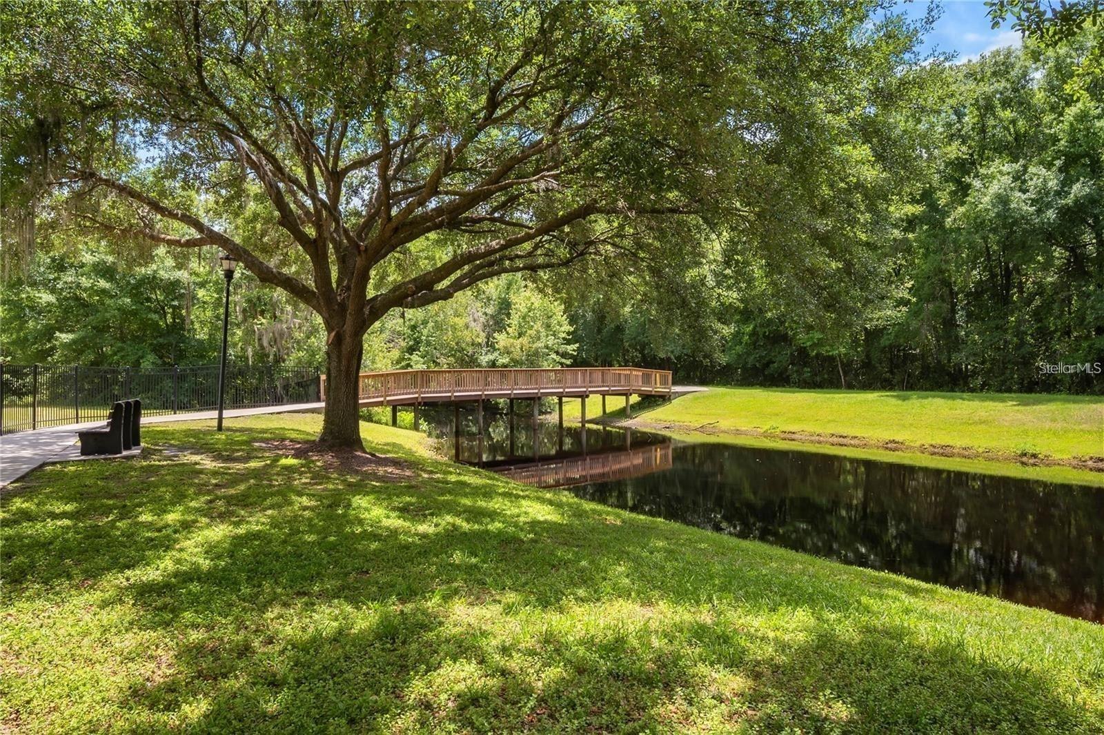 3904 SADDLE RIDGE ST, VALRICO, FL, 33596