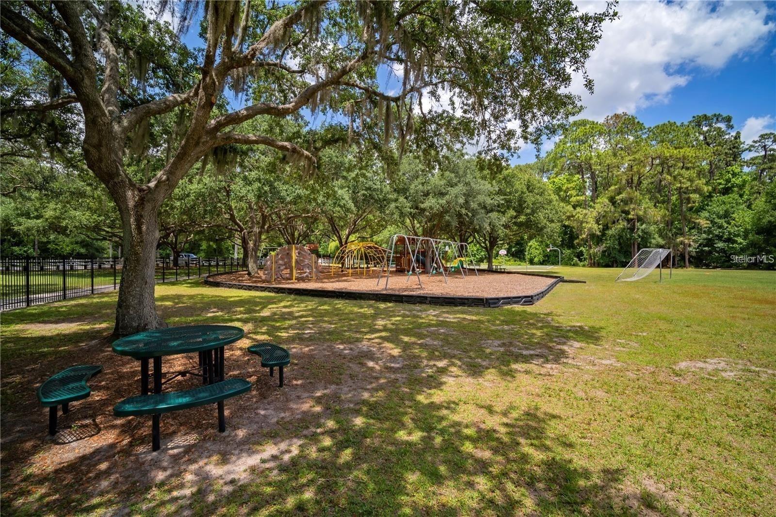 3904 SADDLE RIDGE ST, VALRICO, FL, 33596