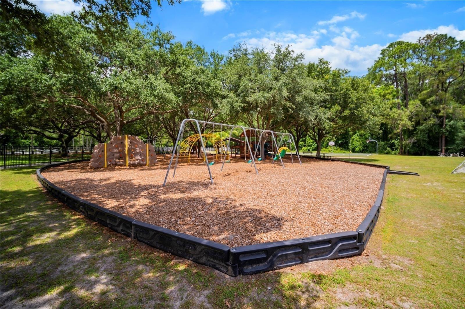 3904 SADDLE RIDGE ST, VALRICO, FL, 33596