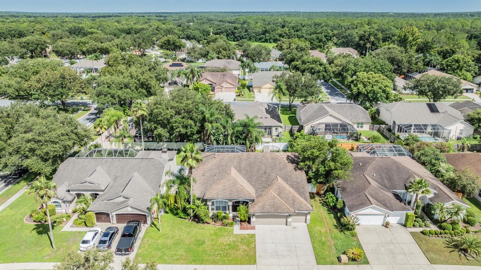 3904 SADDLE RIDGE ST, VALRICO, FL, 33596