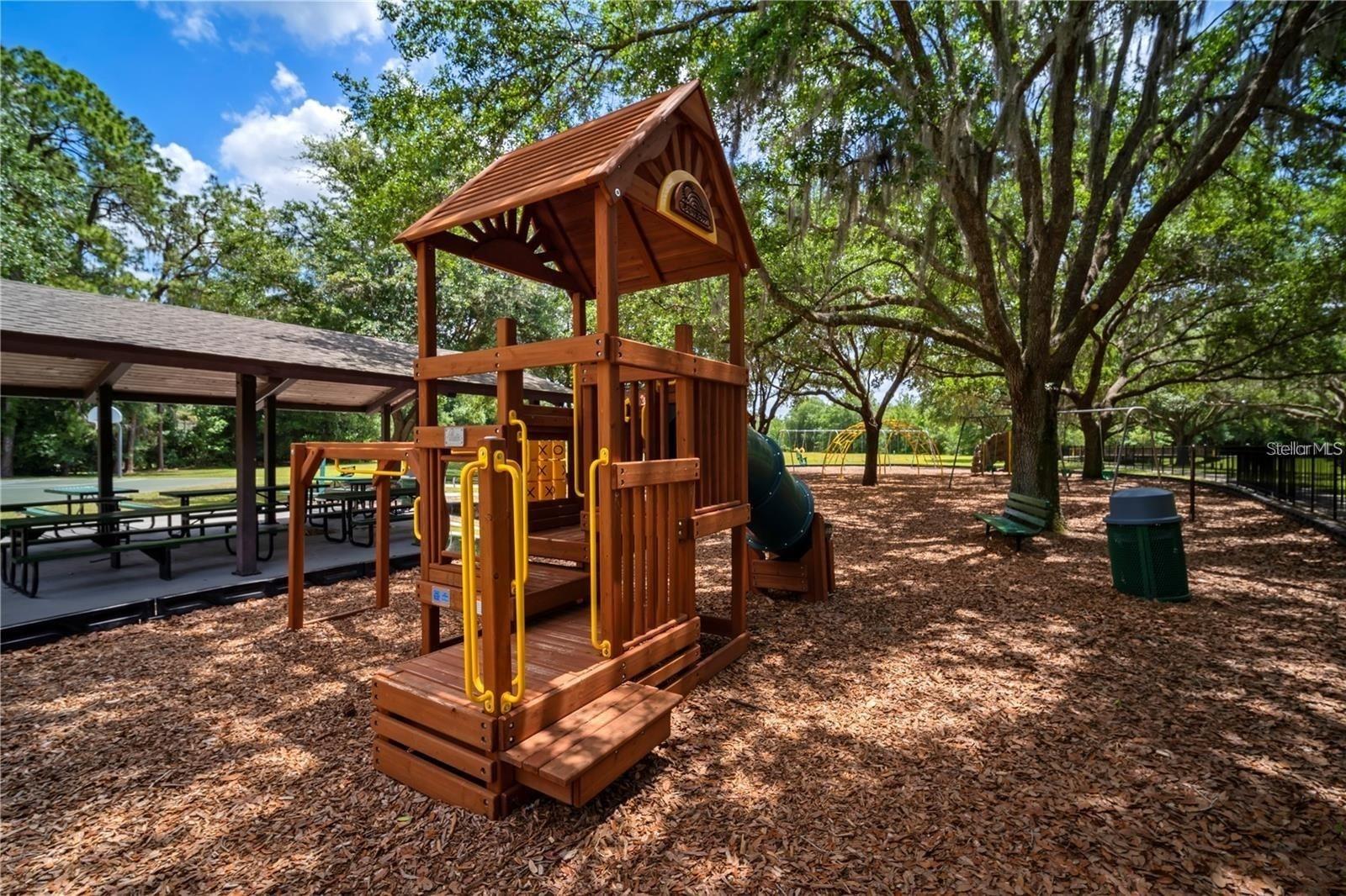 3904 SADDLE RIDGE ST, VALRICO, FL, 33596