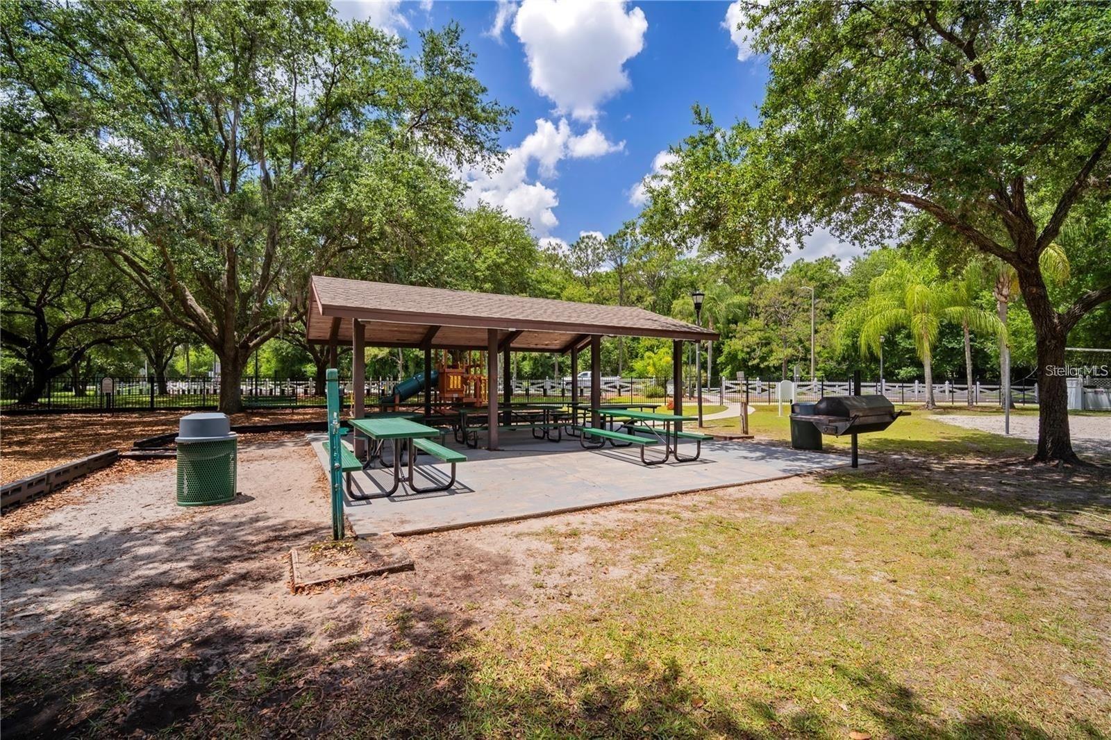 3904 SADDLE RIDGE ST, VALRICO, FL, 33596