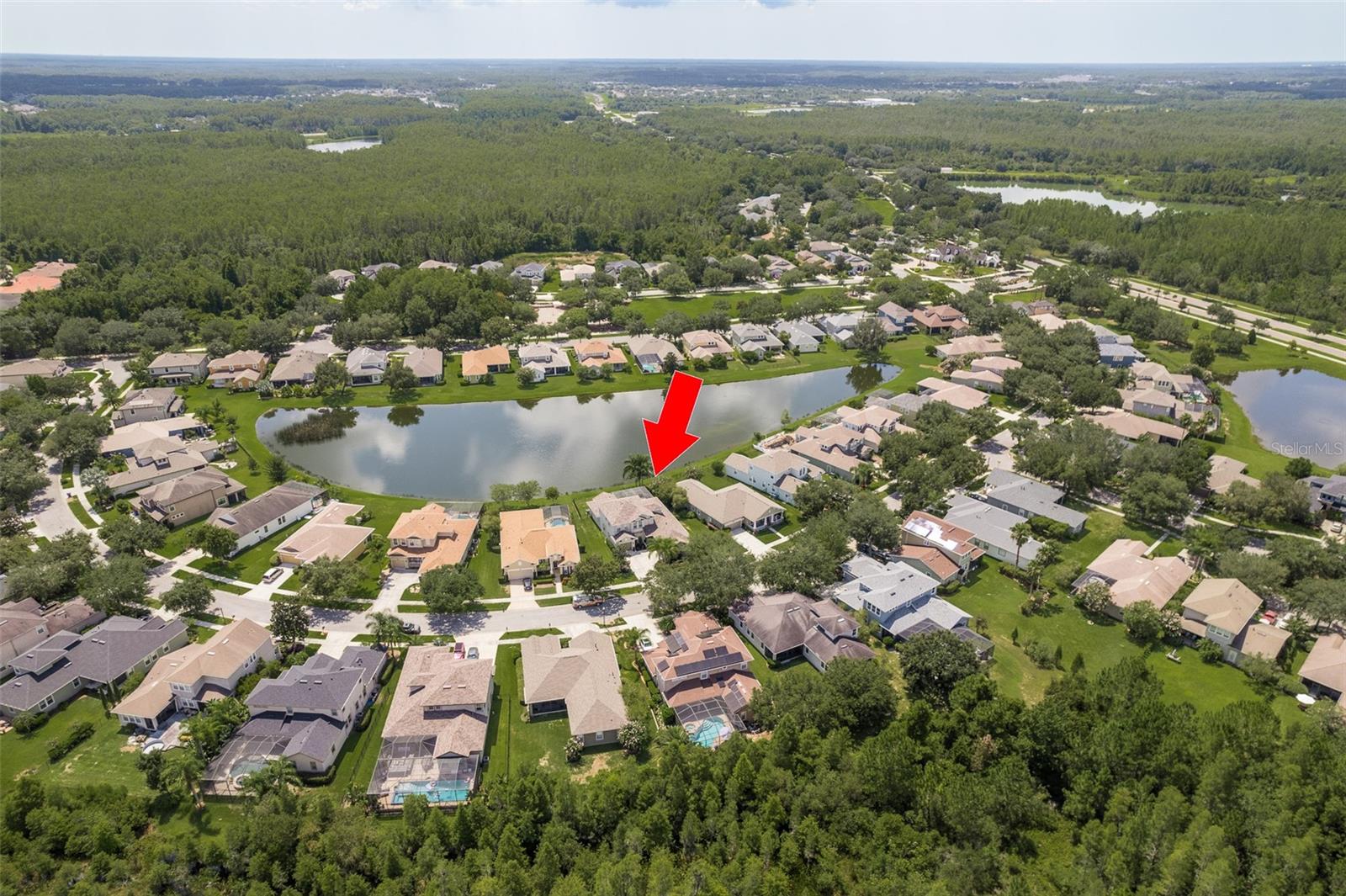 8911 HANDEL LOOP, LAND O LAKES, FL, 34637