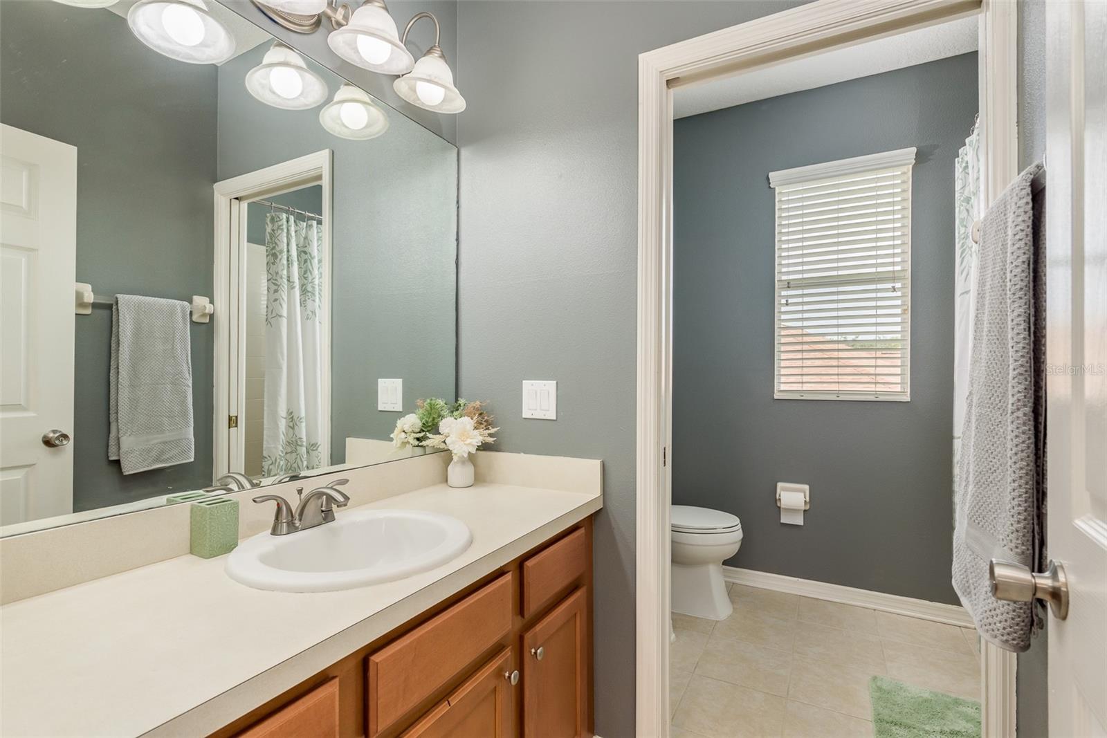 8911 HANDEL LOOP, LAND O LAKES, FL, 34637