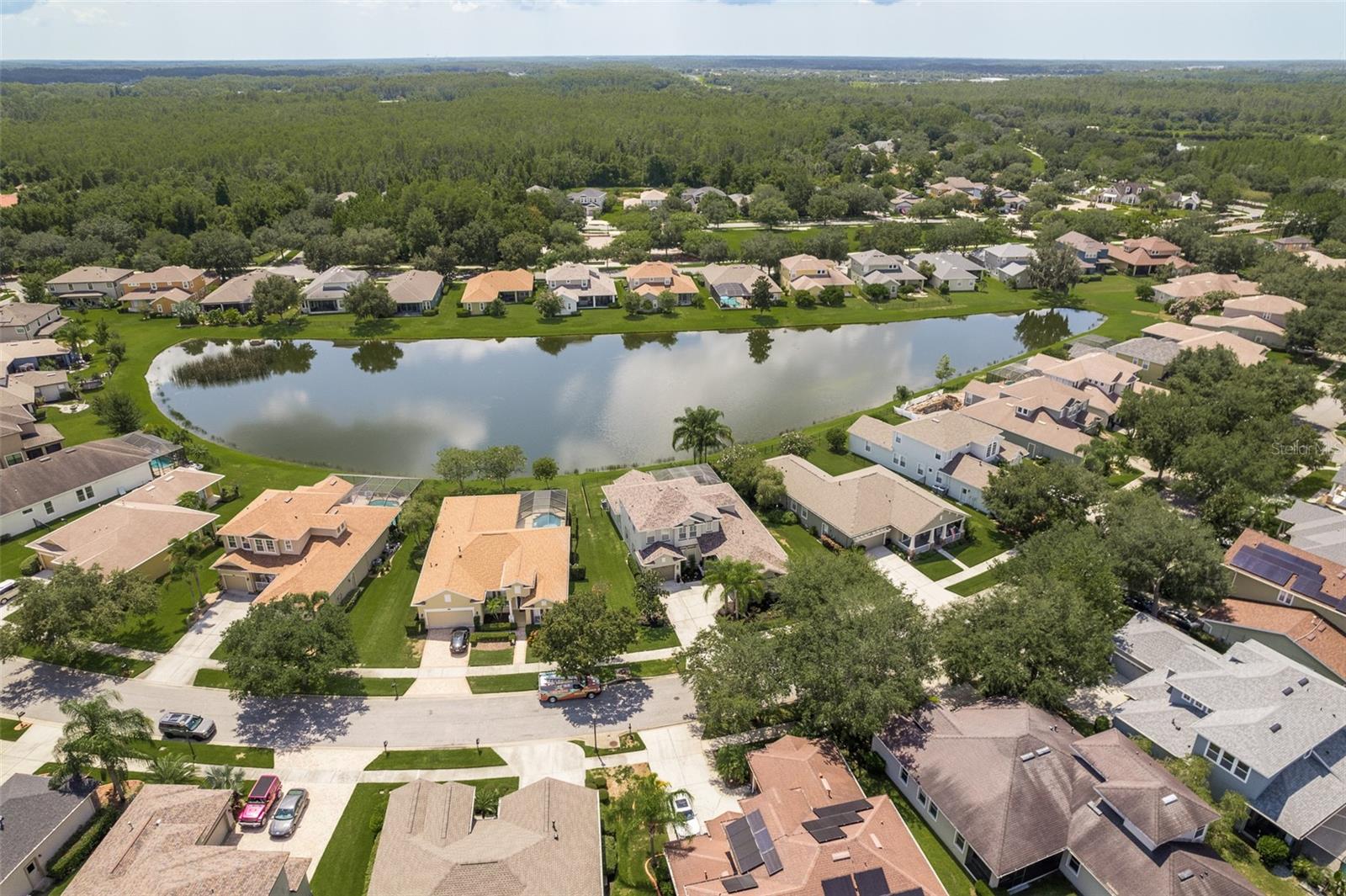 8911 HANDEL LOOP, LAND O LAKES, FL, 34637