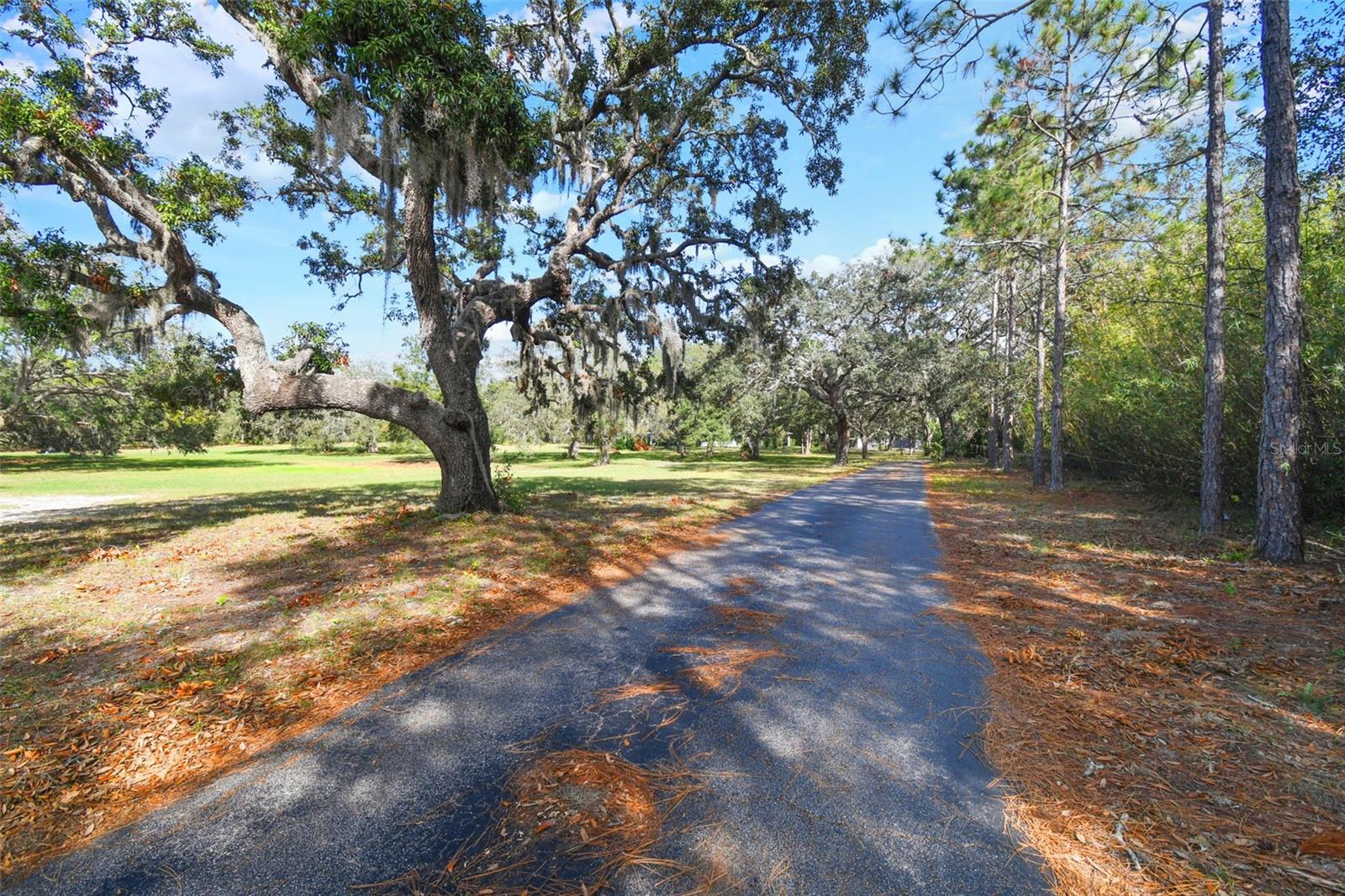 10208 GROVE DR, PORT RICHEY, FL, 34668