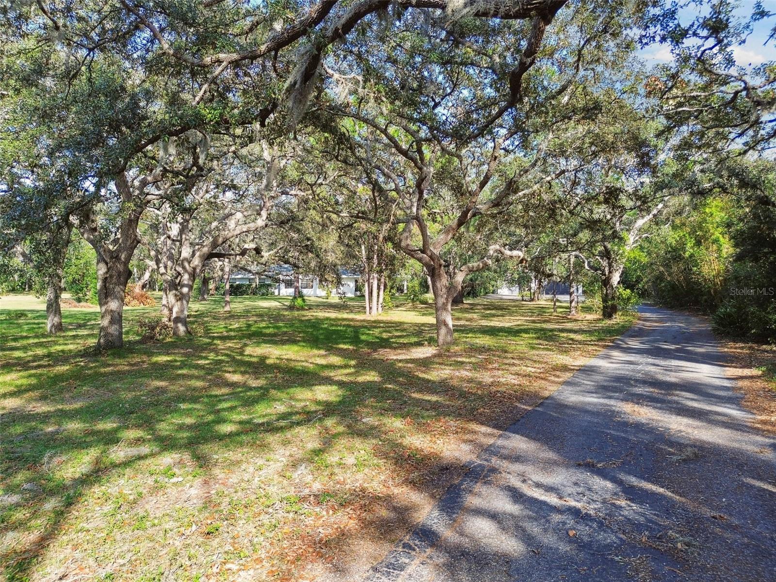 10208 GROVE DR, PORT RICHEY, FL, 34668