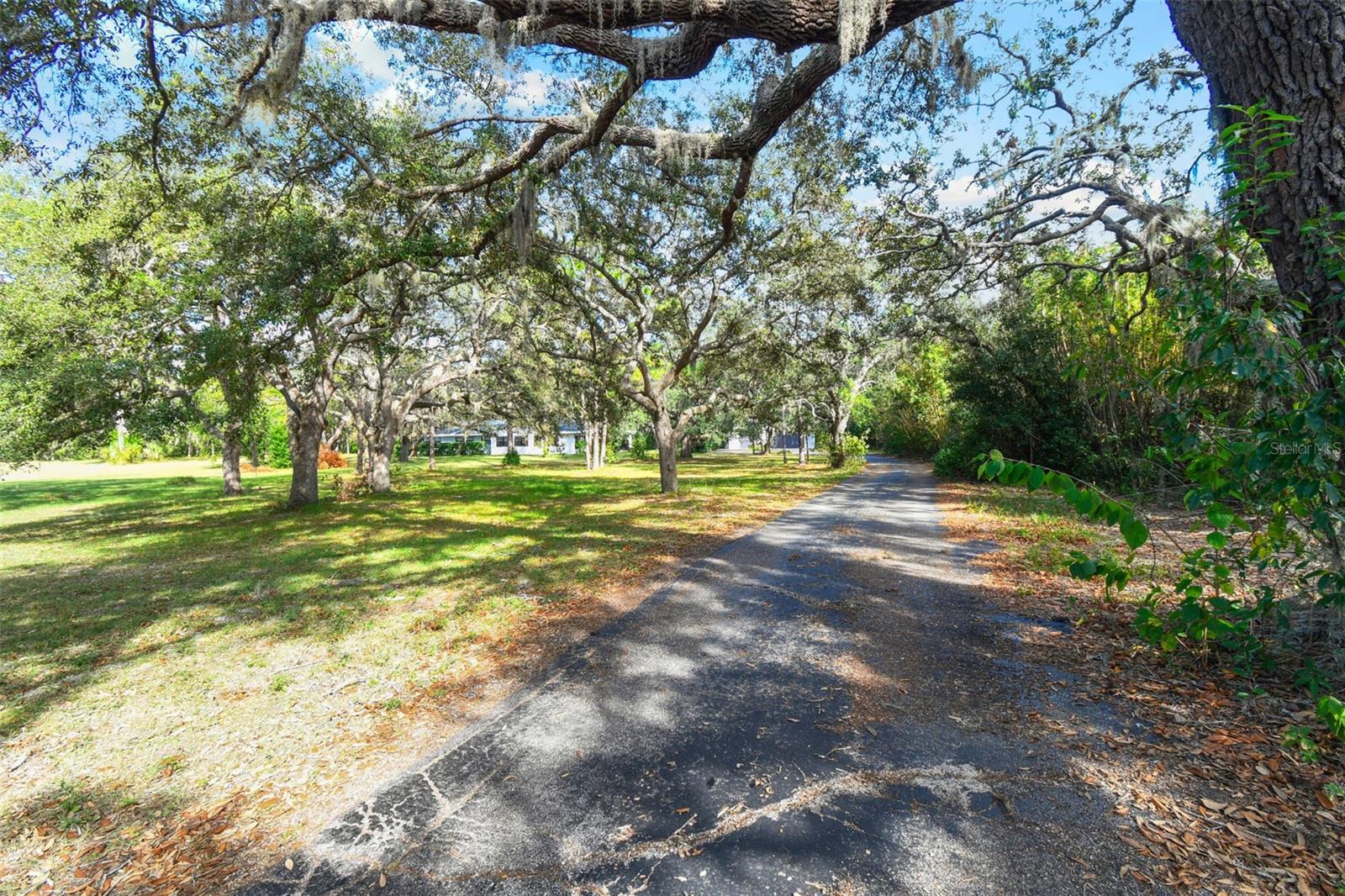 10208 GROVE DR, PORT RICHEY, FL, 34668