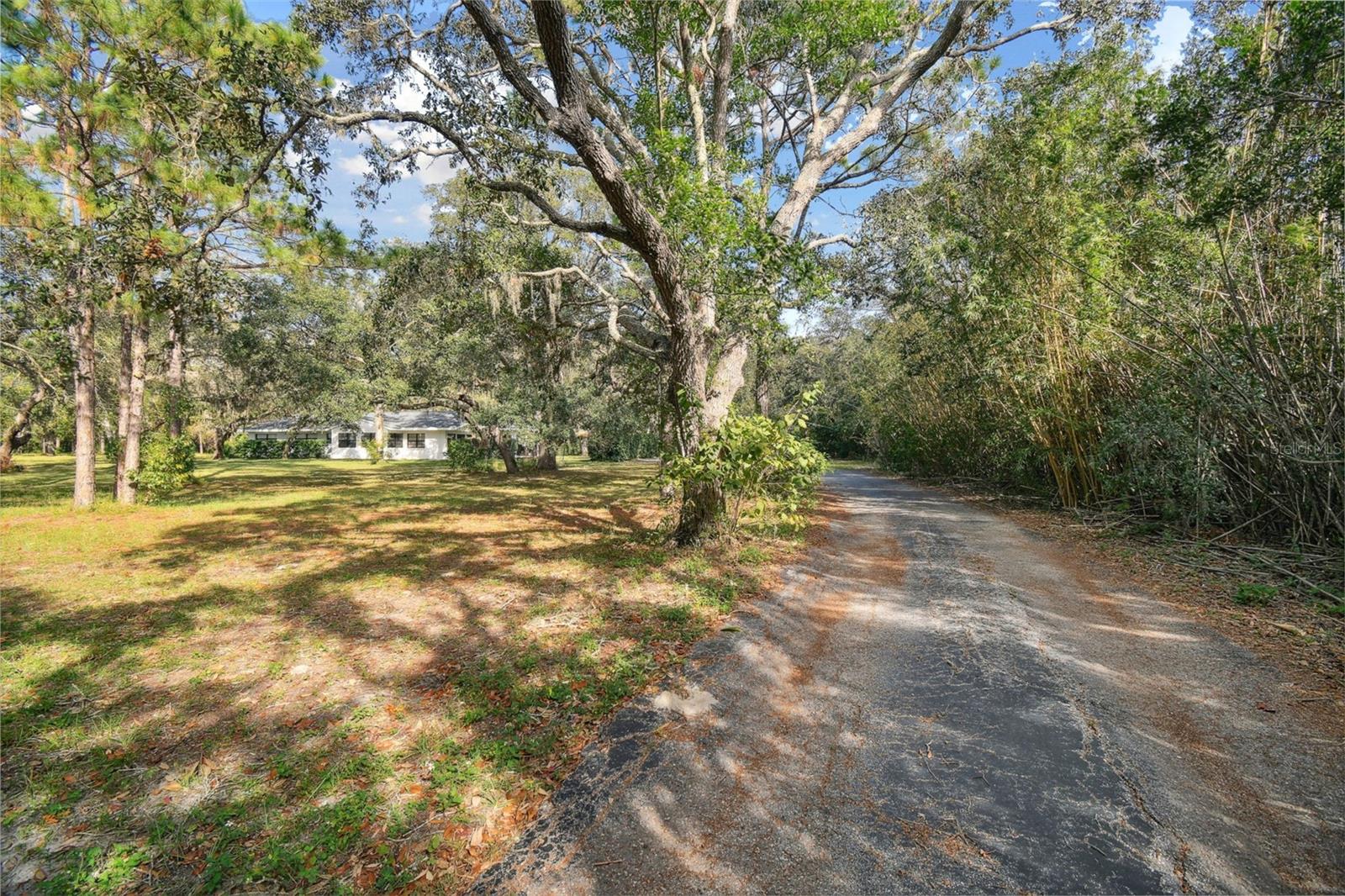 10208 GROVE DR, PORT RICHEY, FL, 34668