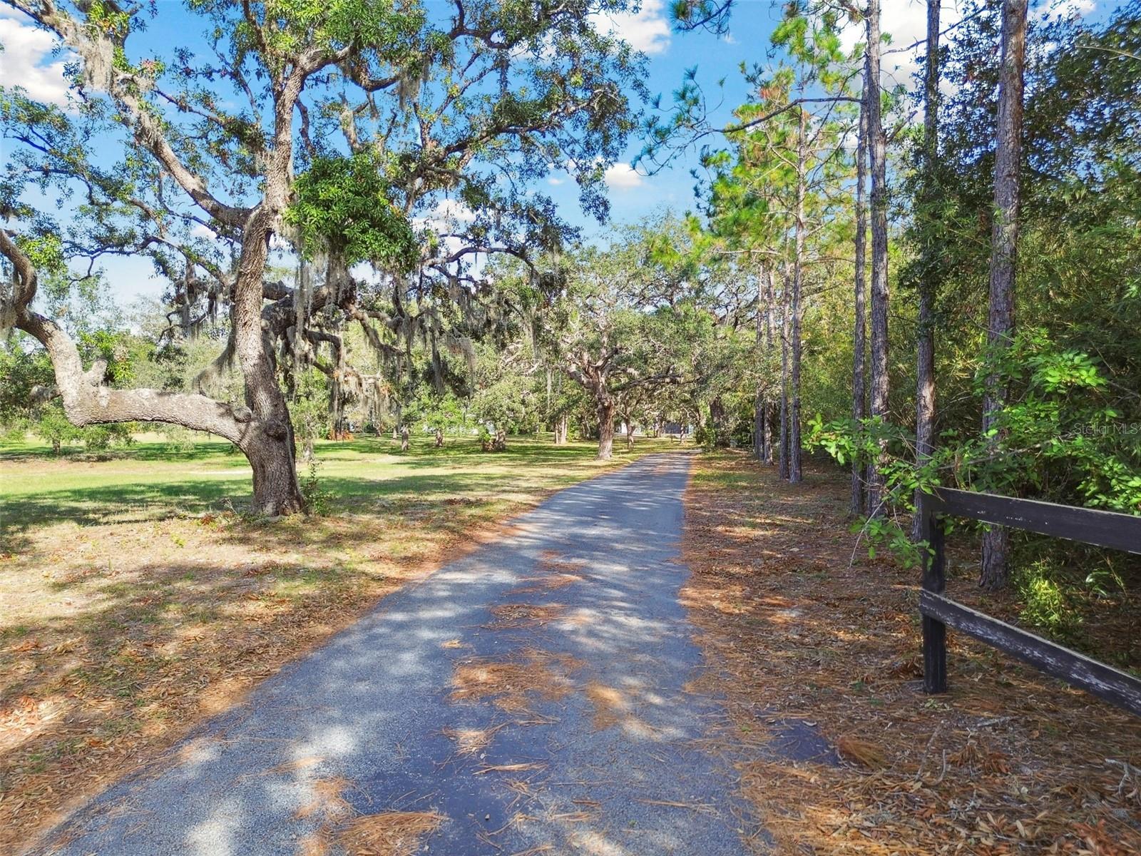 10208 GROVE DR, PORT RICHEY, FL, 34668