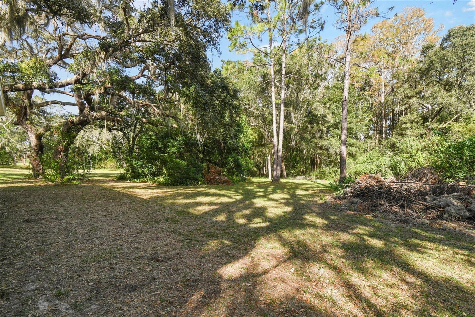 10208 GROVE DR, PORT RICHEY, FL, 34668