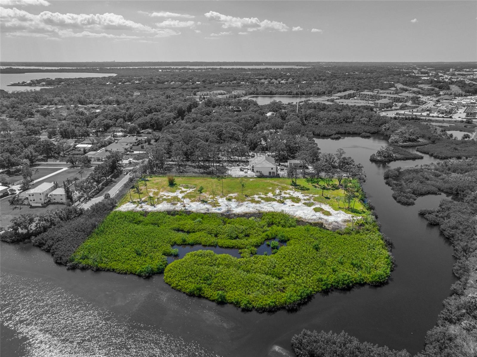 12101 STATE ST, TAMPA, FL, 33635