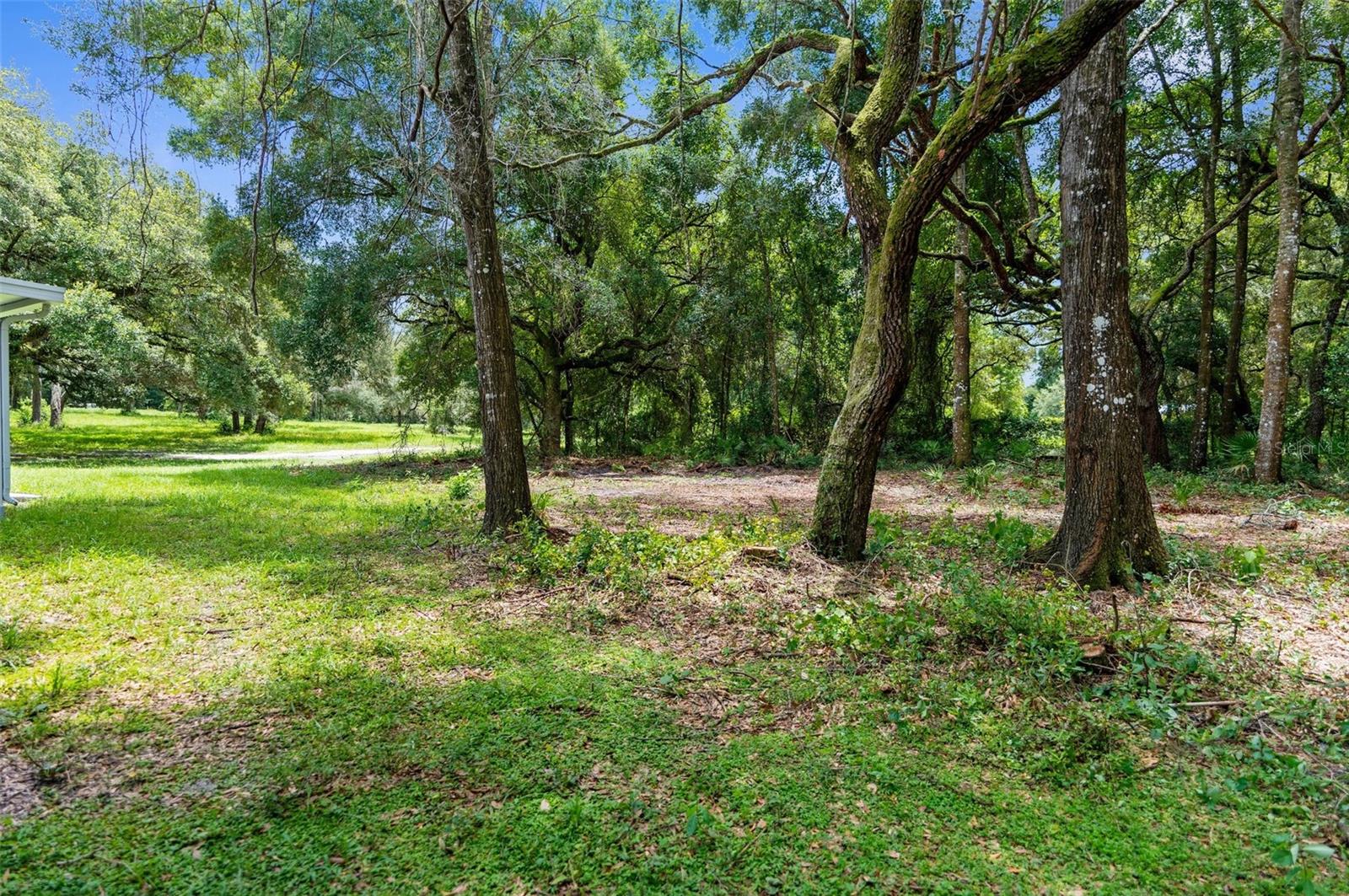 11893 SW 45TH ST, WEBSTER, FL, 33597