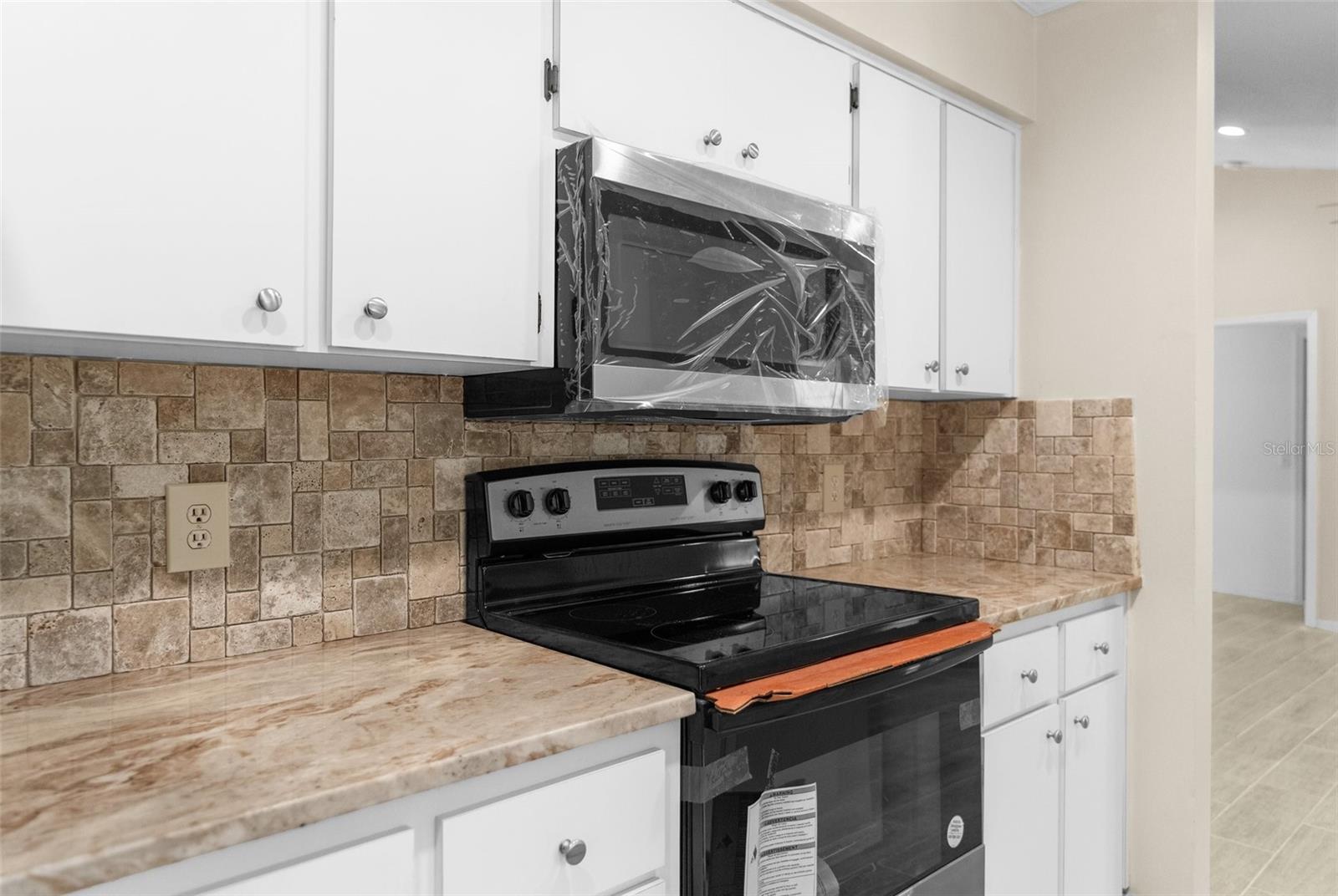 11893 SW 45TH ST, WEBSTER, FL, 33597