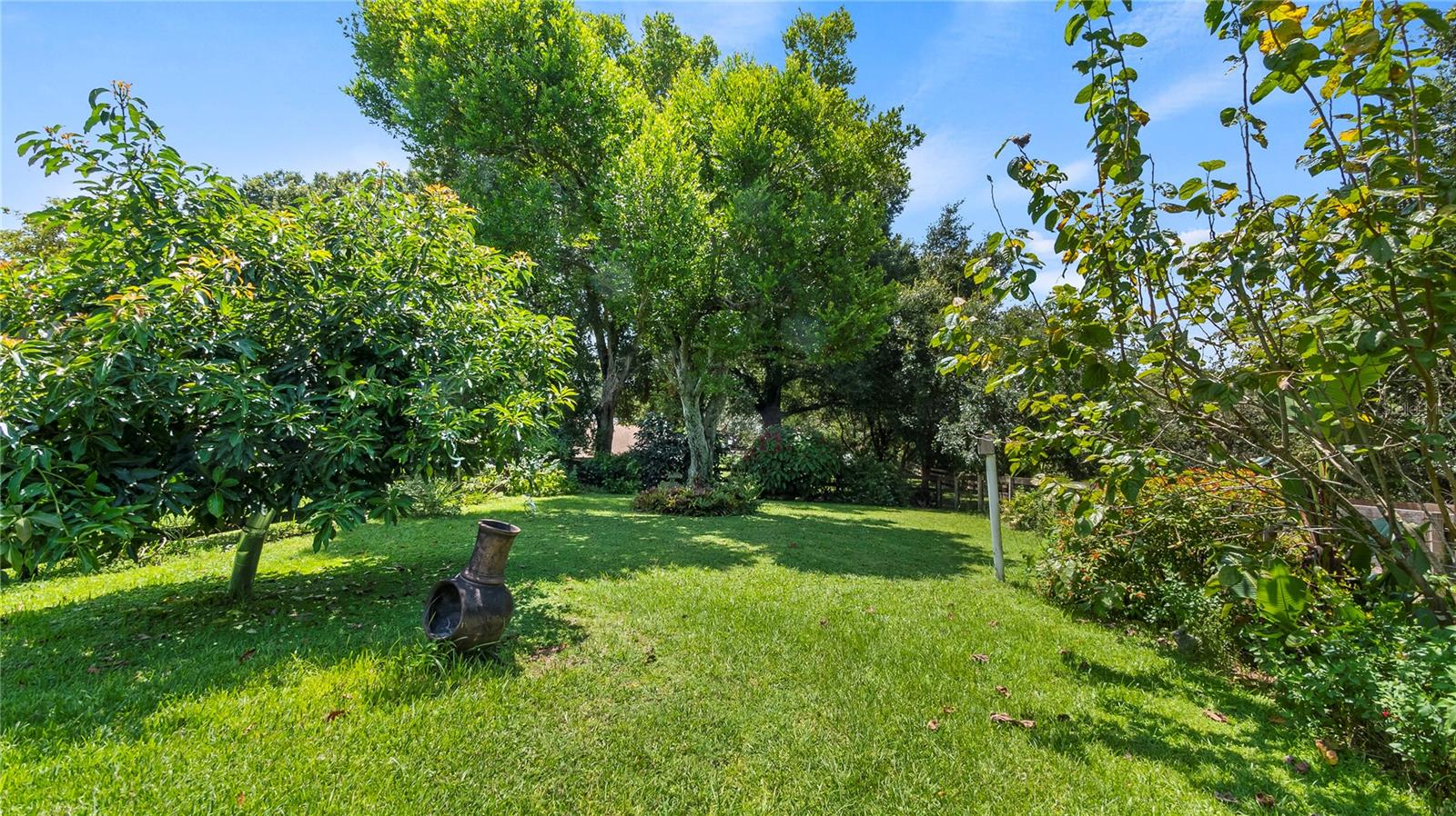 15645 ARABIAN WAY, MONTVERDE, FL, 34756