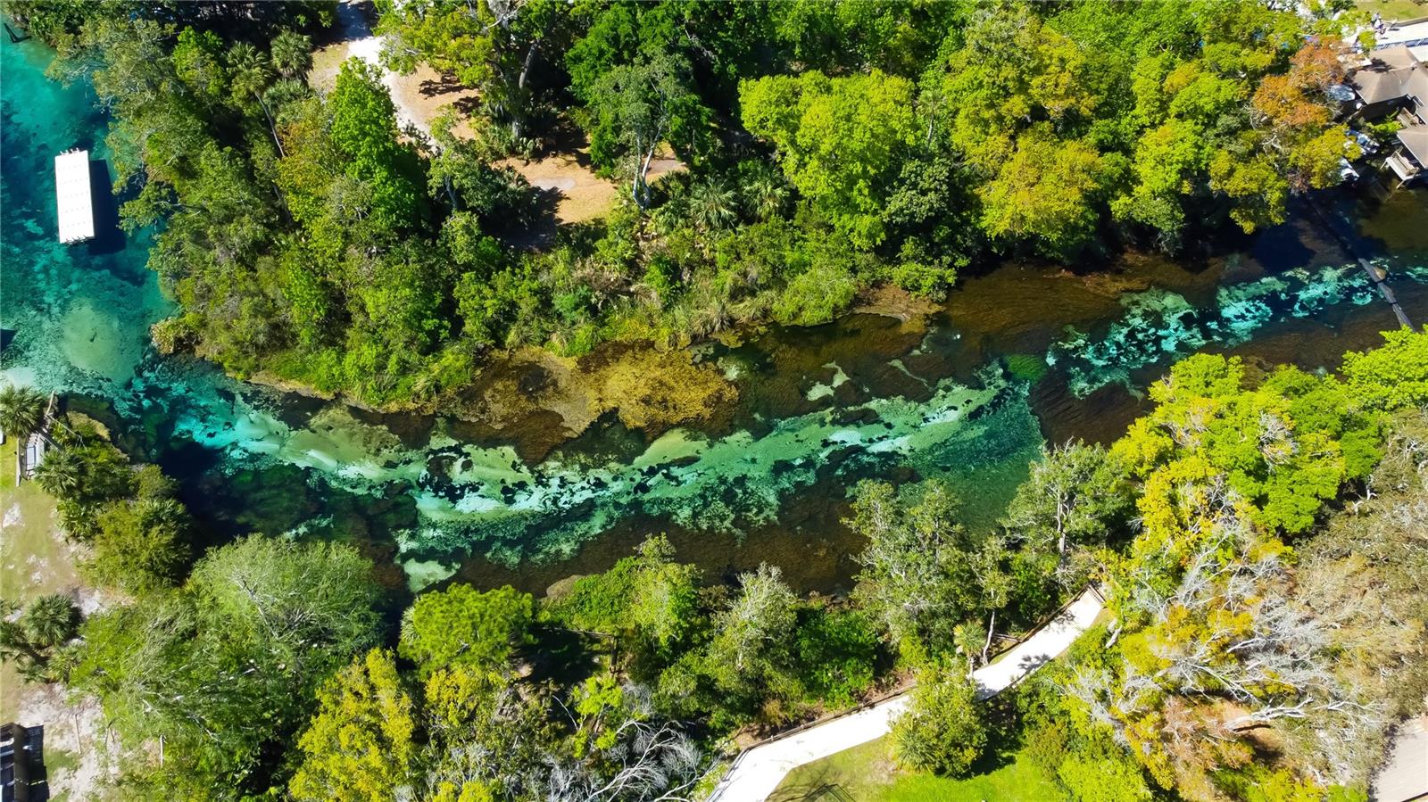 11009 MAYBIRD AVE, WEEKI WACHEE, FL, 34613