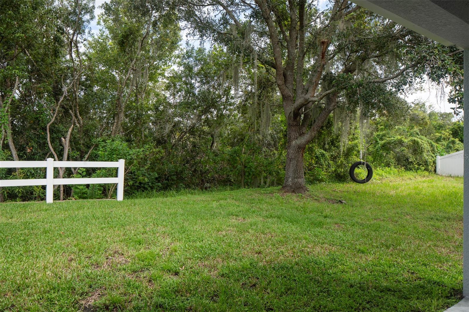 31147 WHINSENTON DR, WESLEY CHAPEL, FL, 33543