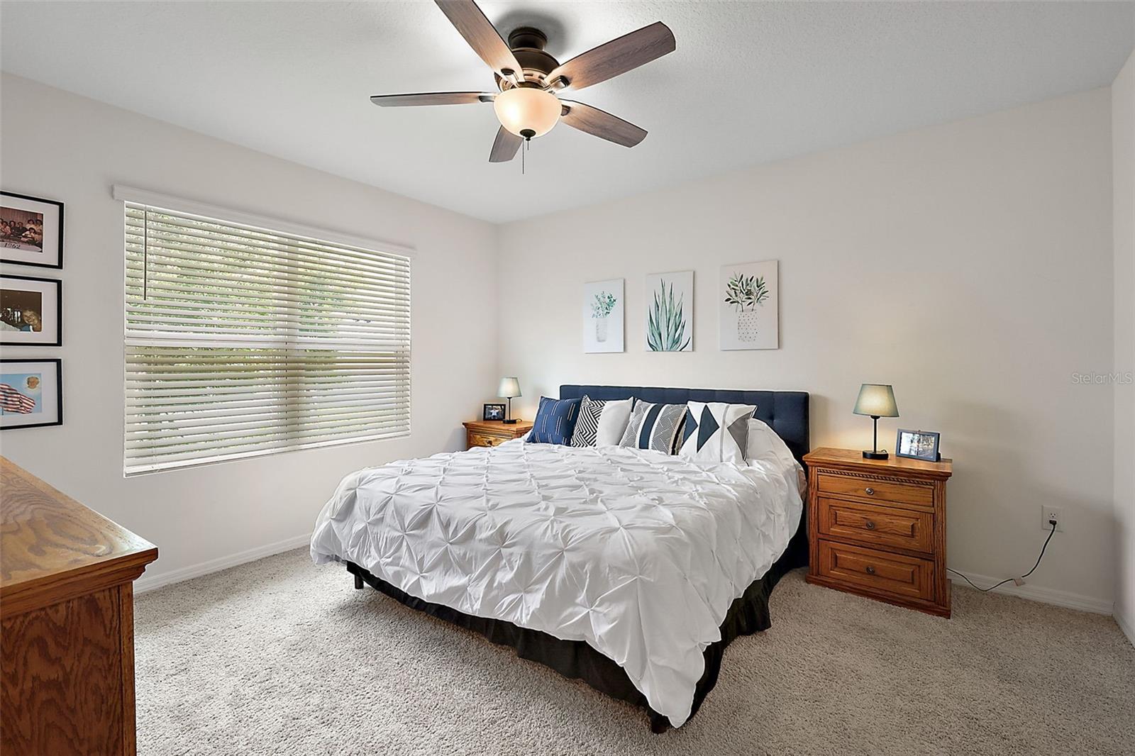 29251 ARMOYAN BLVD, LEESBURG, FL, 34748