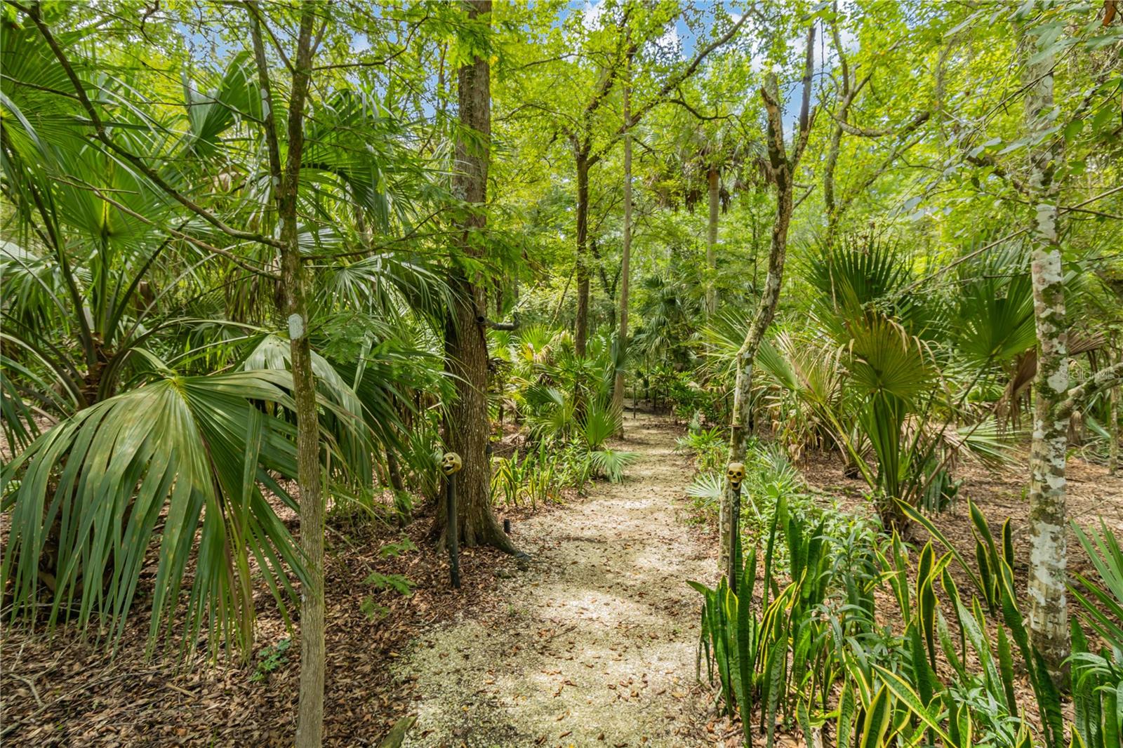 7219 WAREHAM DR, TAMPA, FL, 33647