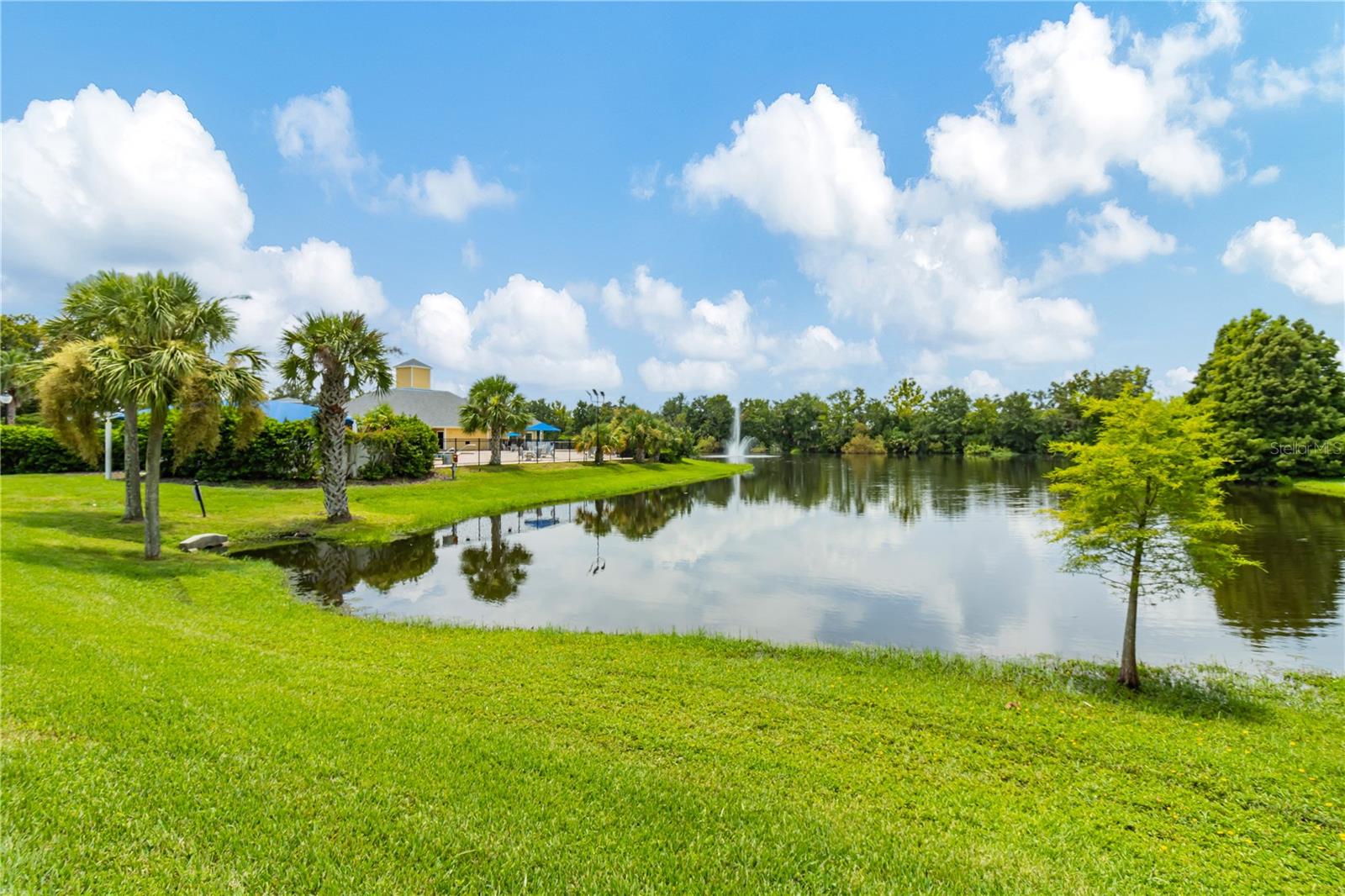 7219 WAREHAM DR, TAMPA, FL, 33647