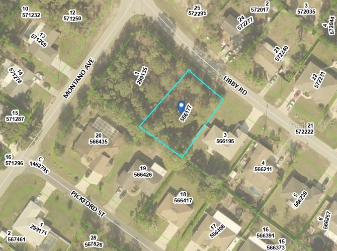 11252 LIBBY RD, SPRING HILL, FL, 34609