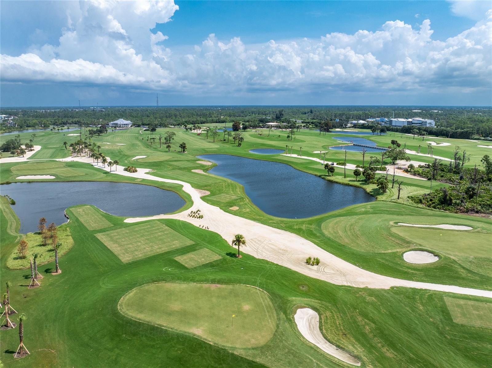 9960 EAGLE PRESERVE DR, ENGLEWOOD, FL, 34224