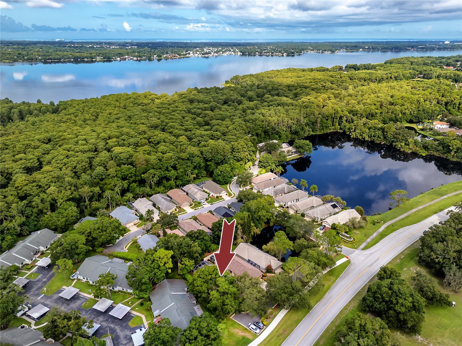 3570 GOLFSIDE DR, PALM HARBOR, FL, 34685