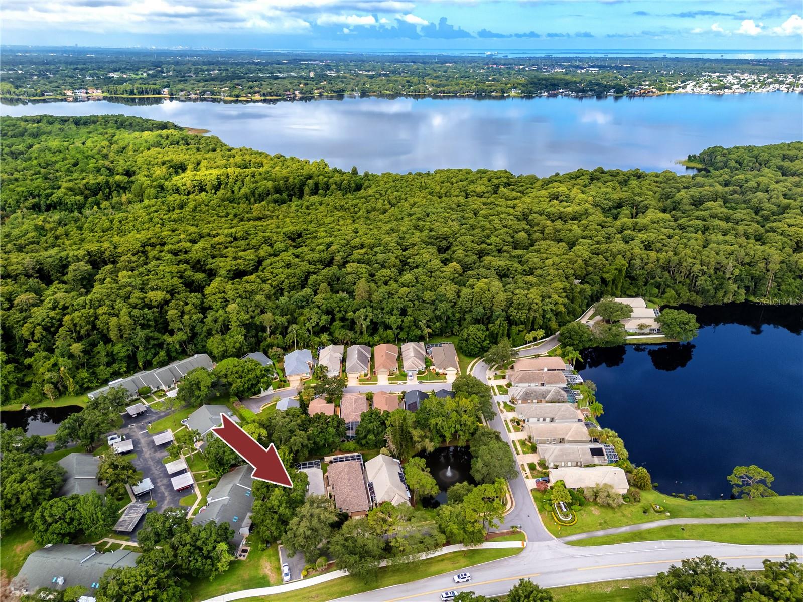 3570 GOLFSIDE DR, PALM HARBOR, FL, 34685