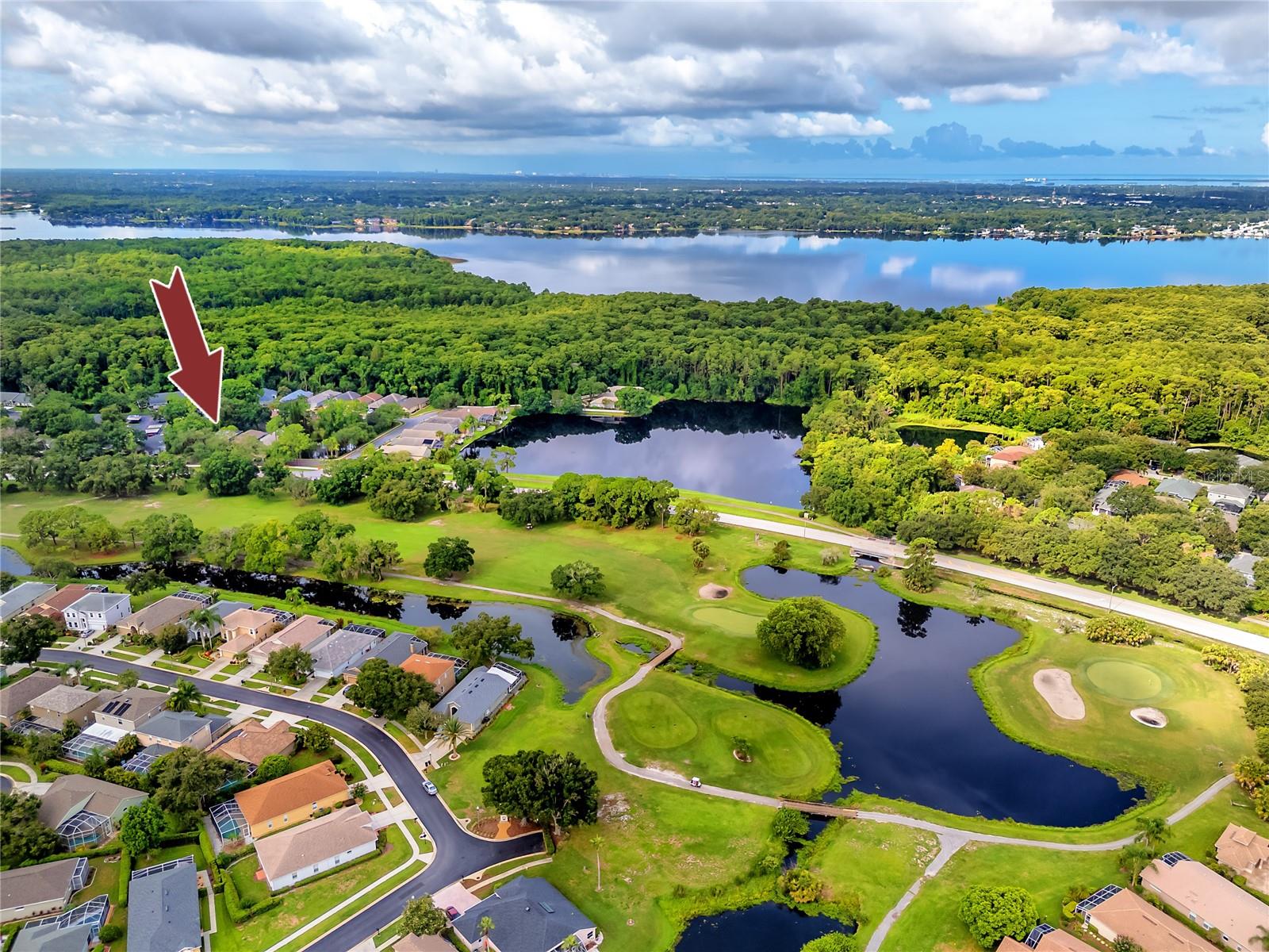 3570 GOLFSIDE DR, PALM HARBOR, FL, 34685