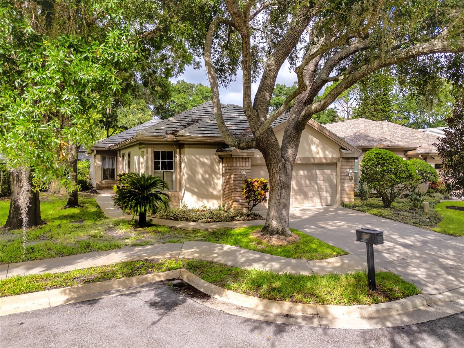 3570 GOLFSIDE DR, PALM HARBOR, FL, 34685