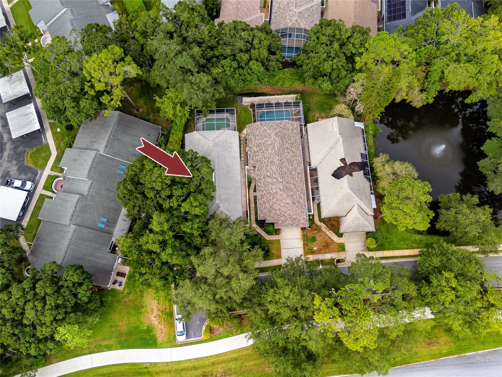 3570 GOLFSIDE DR, PALM HARBOR, FL, 34685