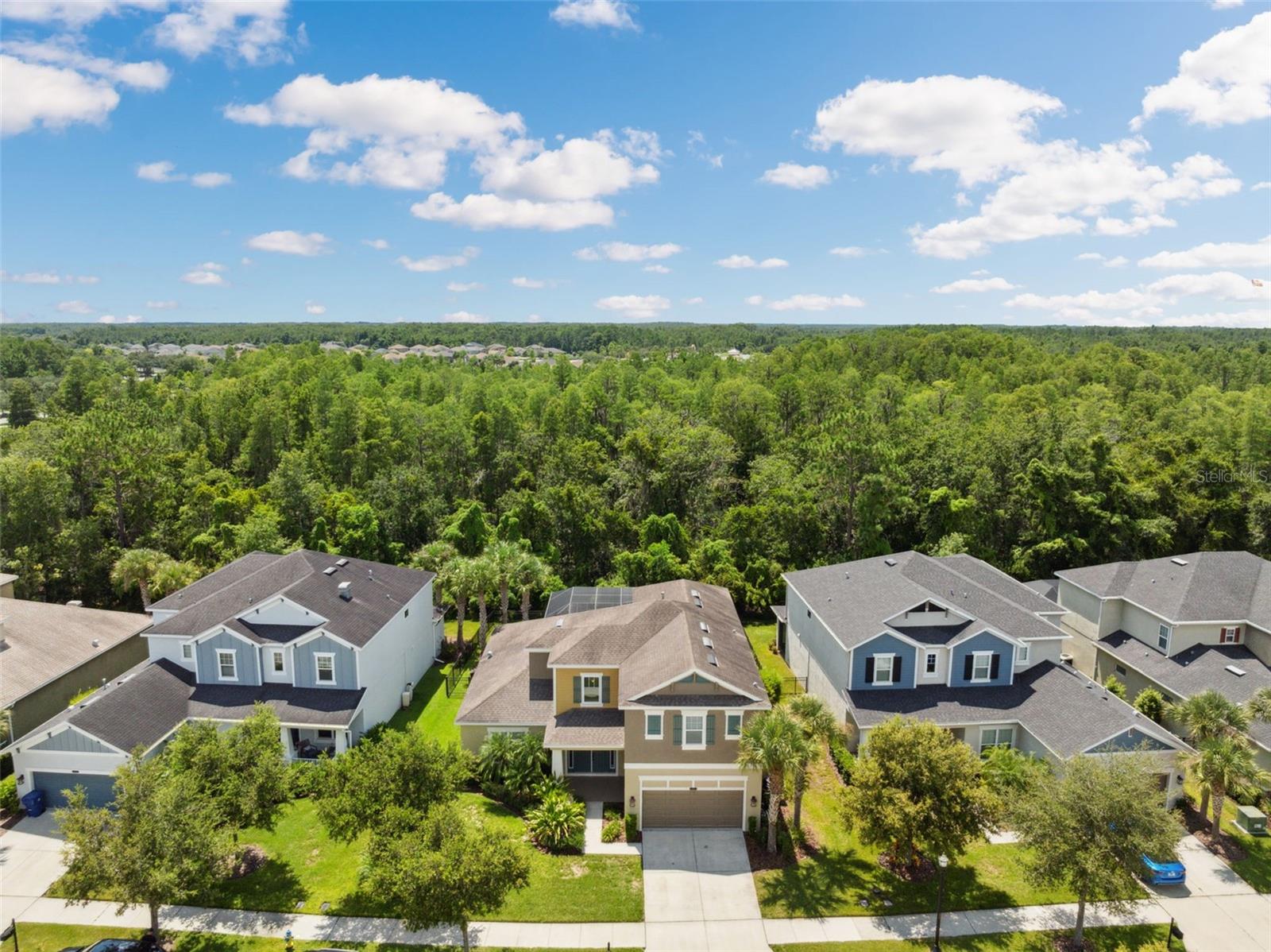 8853 BELLA VITA CIR, LAND O LAKES, FL, 34637