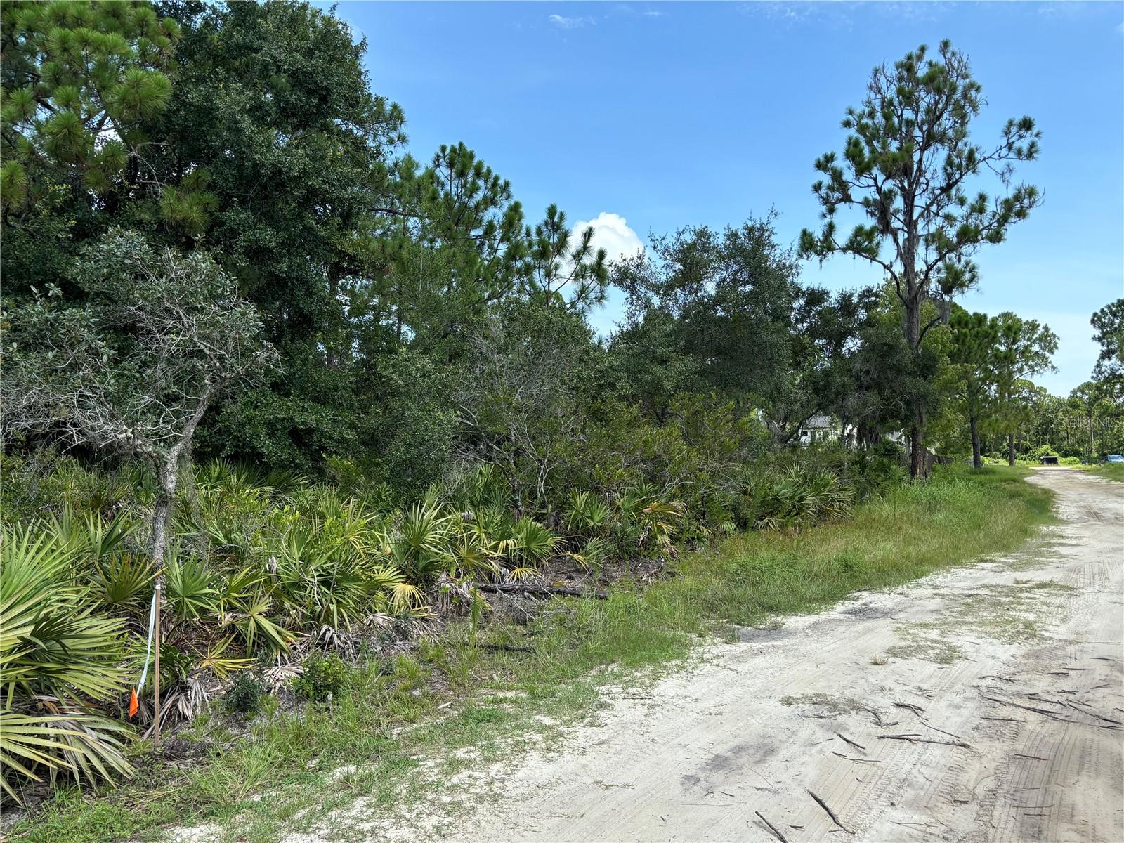 60 FYFE AVE, DEBARY, FL, 32713