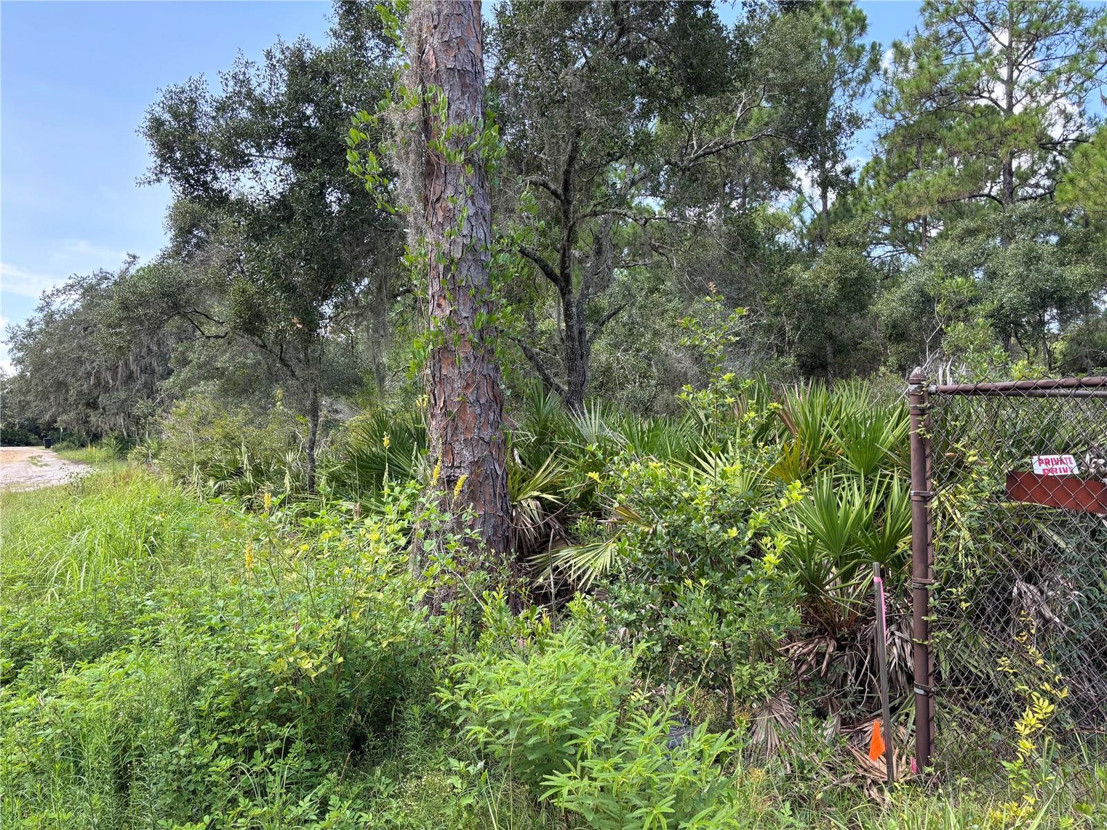 60 FYFE AVE, DEBARY, FL, 32713