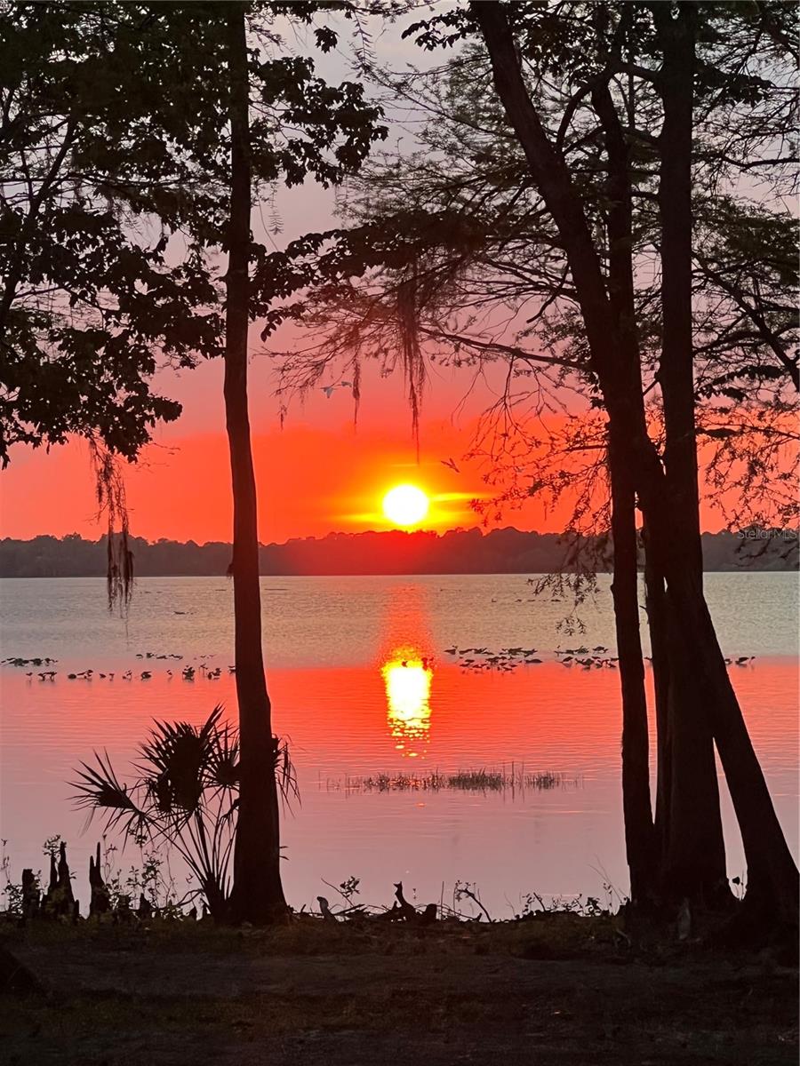 1116 COMMERCIAL AVE, NEW SMYRNA BEACH, FL, 32168