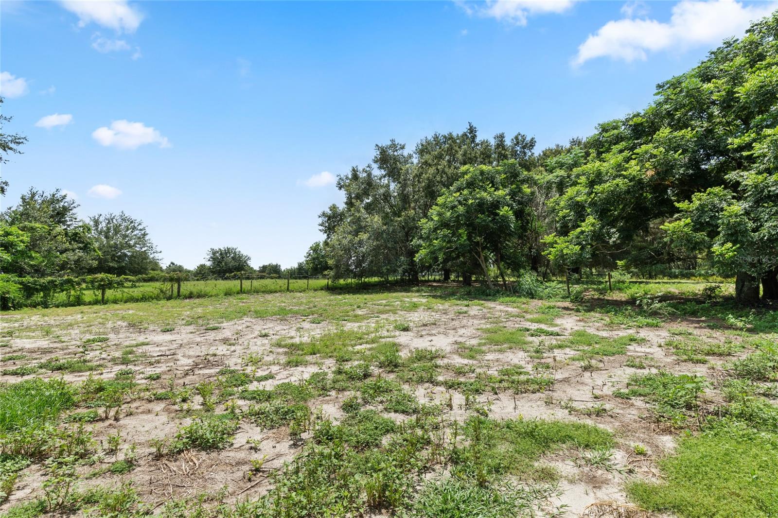 15015 S HIGHWAY 25, WEIRSDALE, FL, 32195