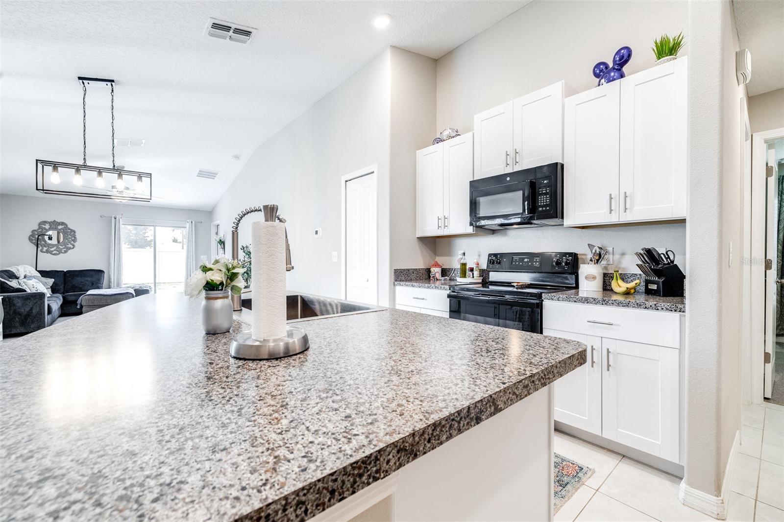 3793 GOLDEN SHINER LN, NEW PORT RICHEY, FL, 34653