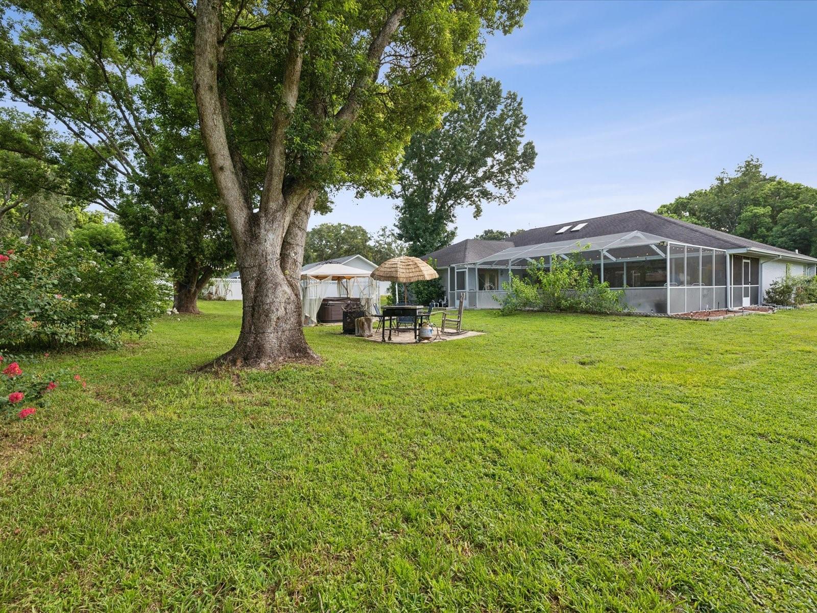 1096 FLORIAN WAY, SPRING HILL, FL, 34609