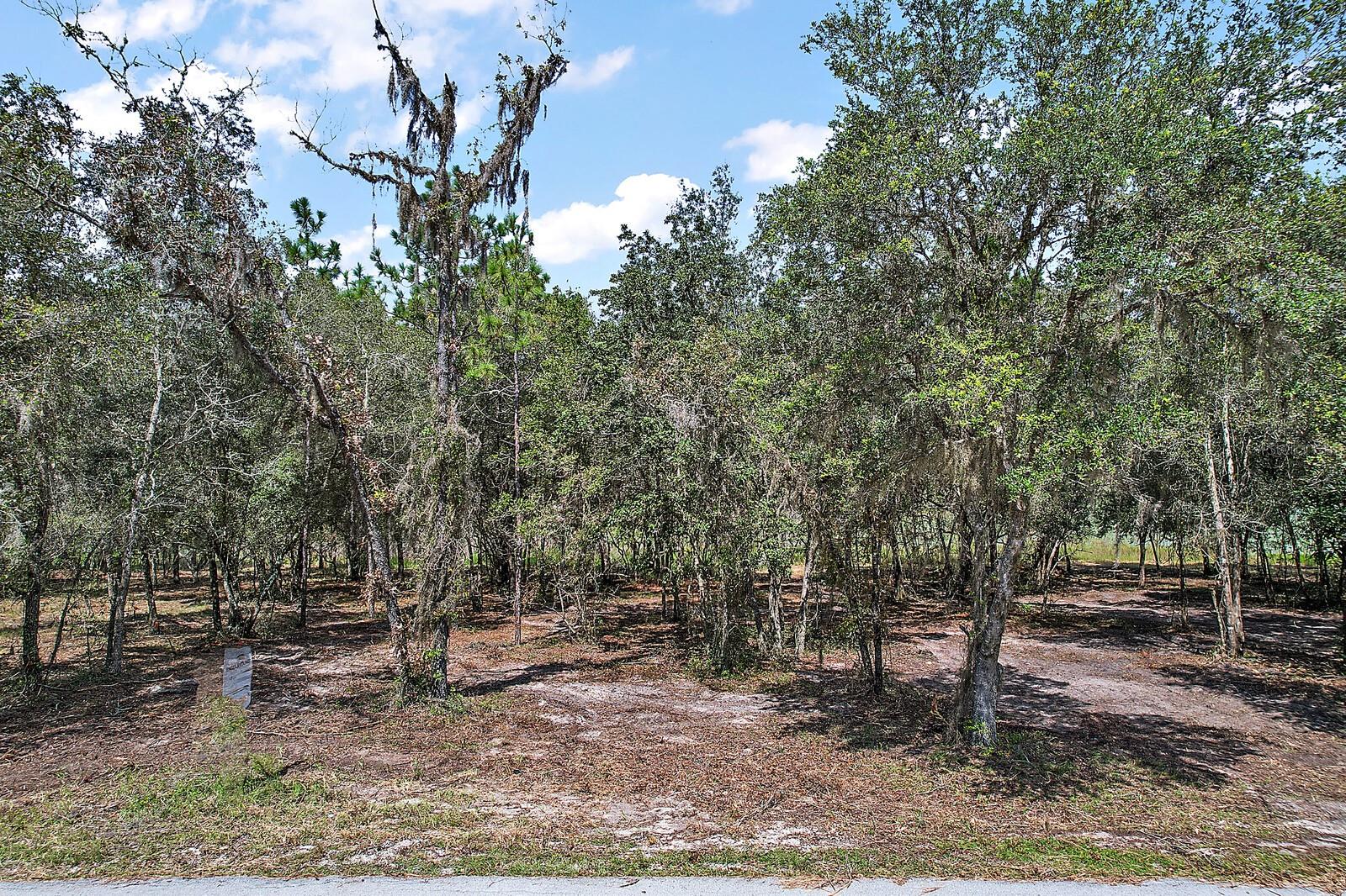 TBD SW SHOREWOOD DR, DUNNELLON, FL, 34432
