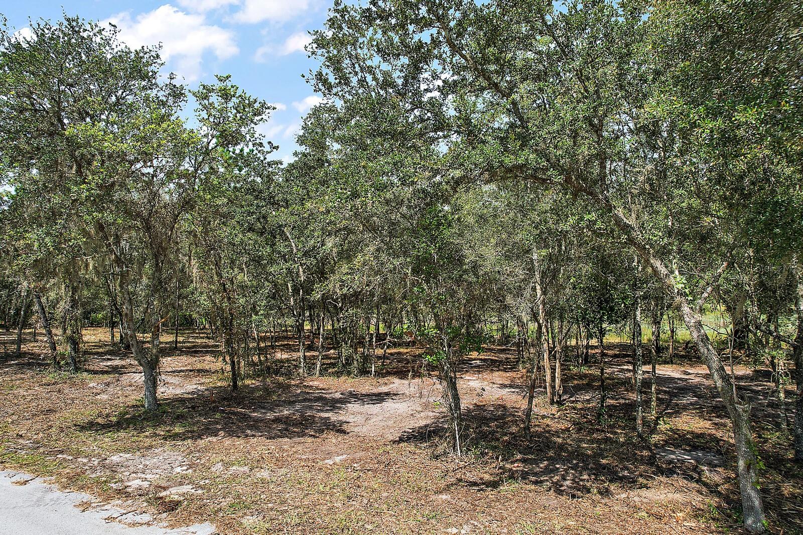 TBD SW SHOREWOOD DR, DUNNELLON, FL, 34432