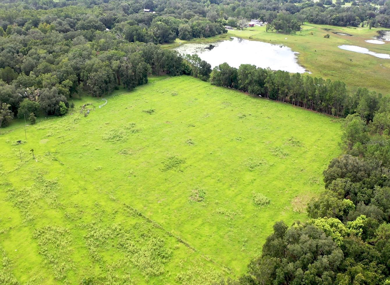 8989 EHREN CUTOFF, LAND O LAKES, FL, 34639